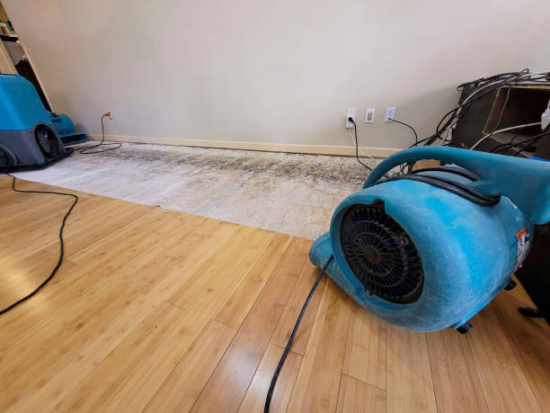Professional Water Damage Repair technician working in Coulters, PA